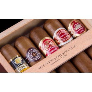 Сигары Сет из 5 сигар. Habanos Seleccion Robustos Cuban Cigar Rob5Edit фото