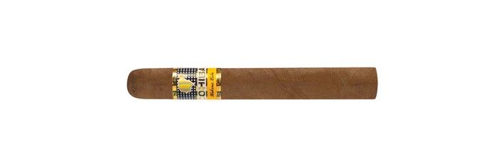 Cigars Cohiba Siglo 2 -1шт P17 photo