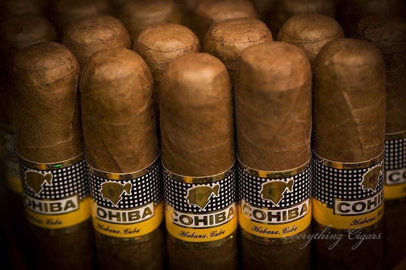 Cigars Cohiba Siglo 6 - Aniversary Porcelain of  25 C.Sig6b25 photo