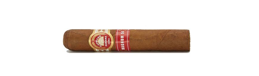 Cigars H. UPMANN Magnum 54 -1шт P20 photo